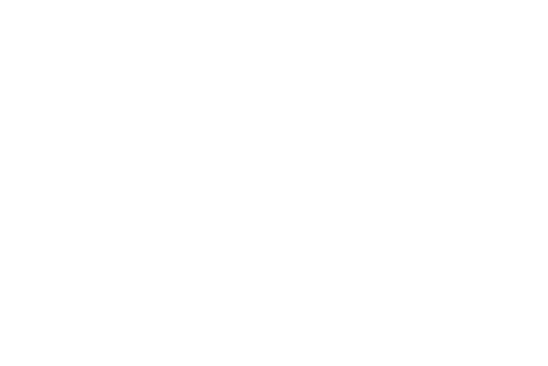 CFA Sport Animation Occitanie